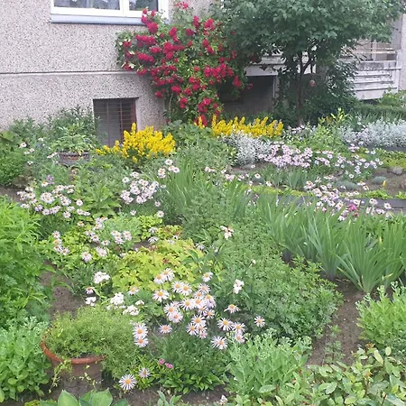 Home20gedv Апартаменты